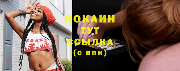 прущий лед Алзамай