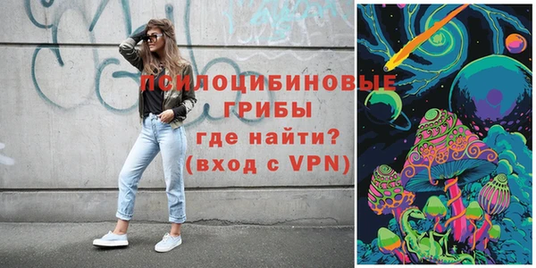 прущий лед Алзамай