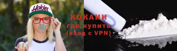 прущий лед Алзамай